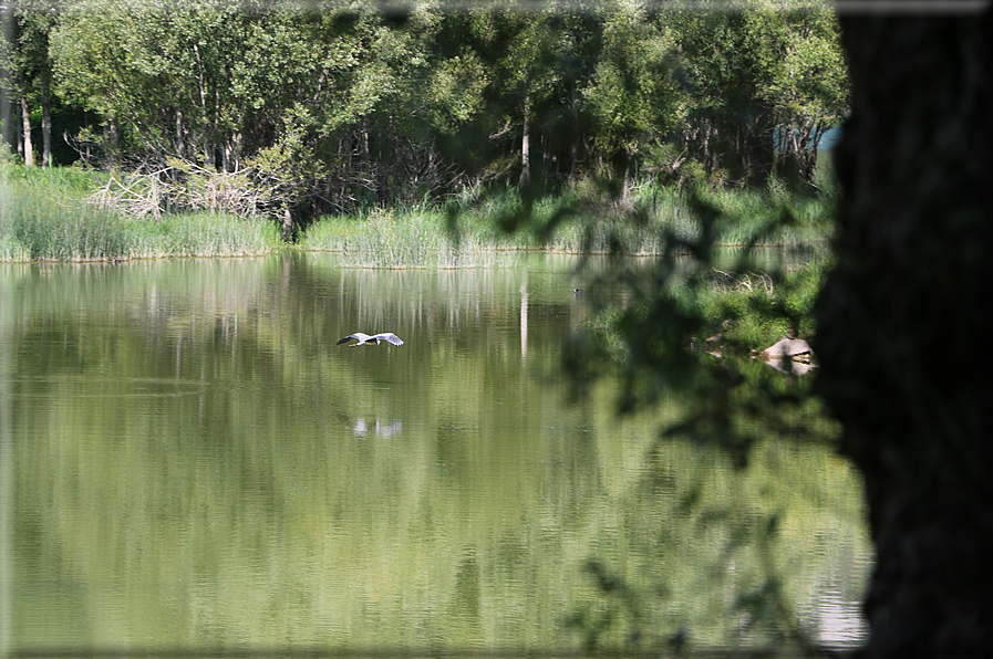 foto Lago di Terlago